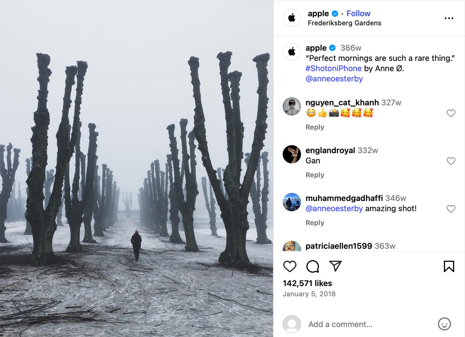 Apple shares #ShotoniPhone image by Anne Østerby in moody winter landscape Person walking down icy path lined with pruned trees, shot in foggy Frederiksberg Gardens