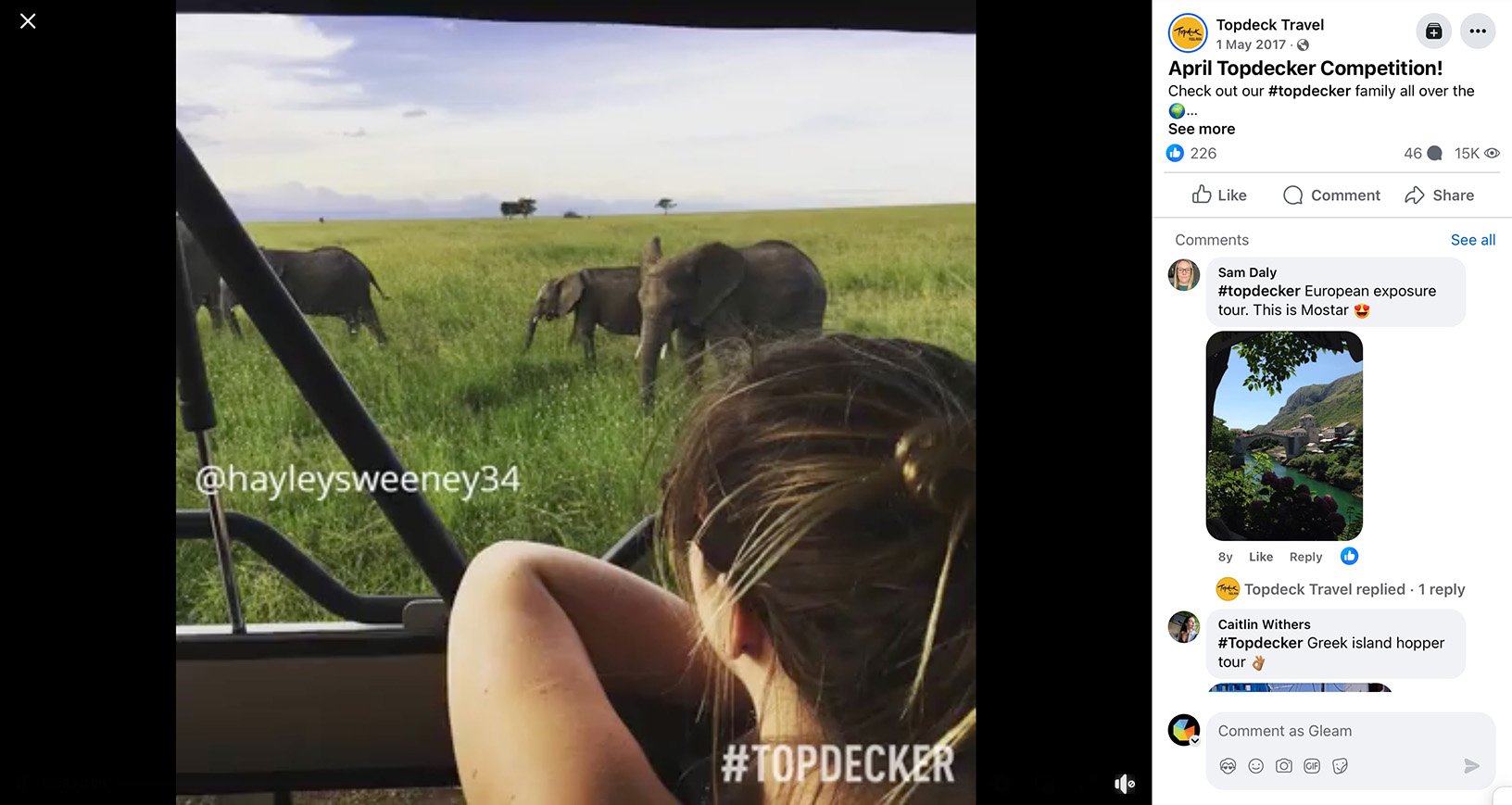 View from a safari vehicle of a woman watching elephants in the grasslands