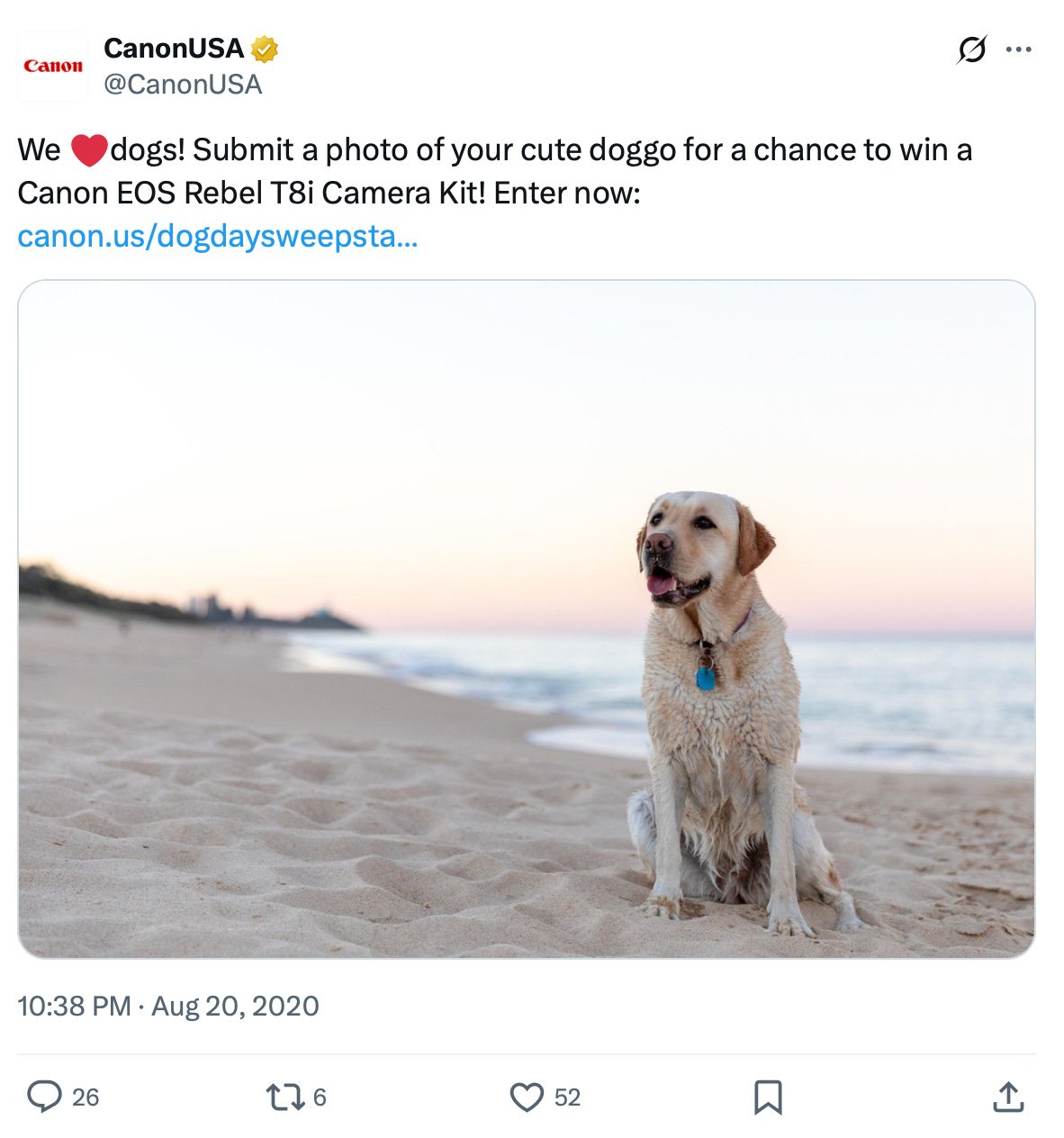 Golden retriever sitting on the beach at sunset for Canon photo contest