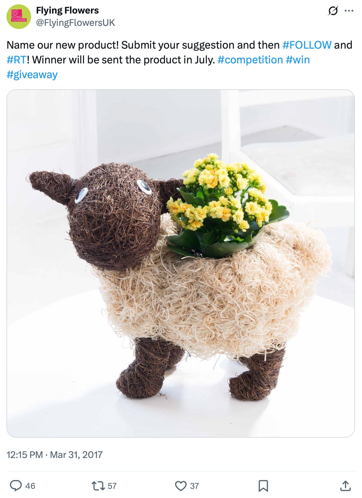 Flying Flowers: Name Our New Product Giveaway Flying Flowers sheep-shaped plant holder giveaway