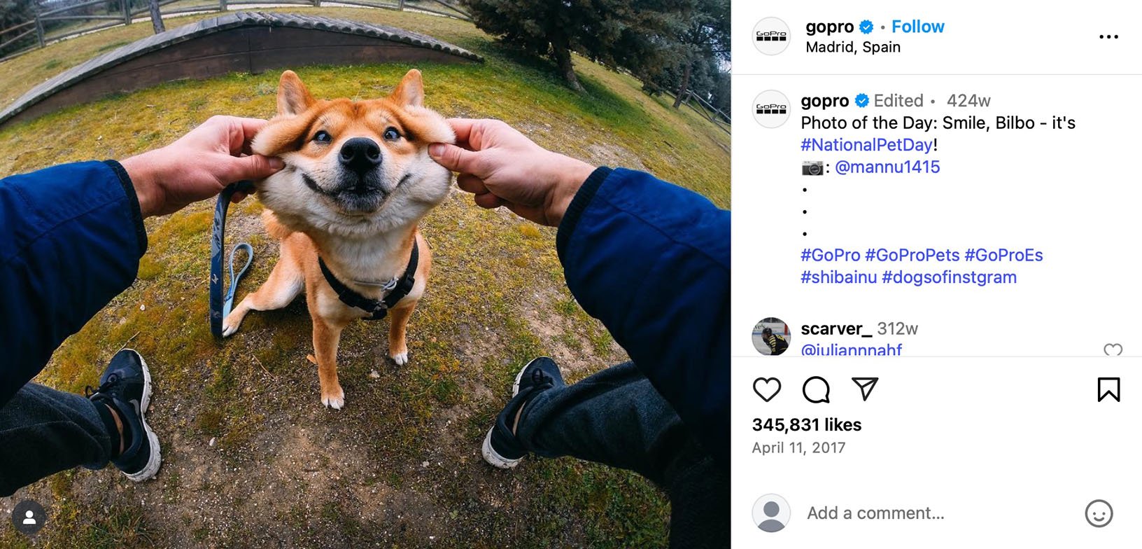 GoPro celebrates National Pet Day with Shiba Inu photo Shiba Inu dog smiling as its cheeks are gently stretched by two hands