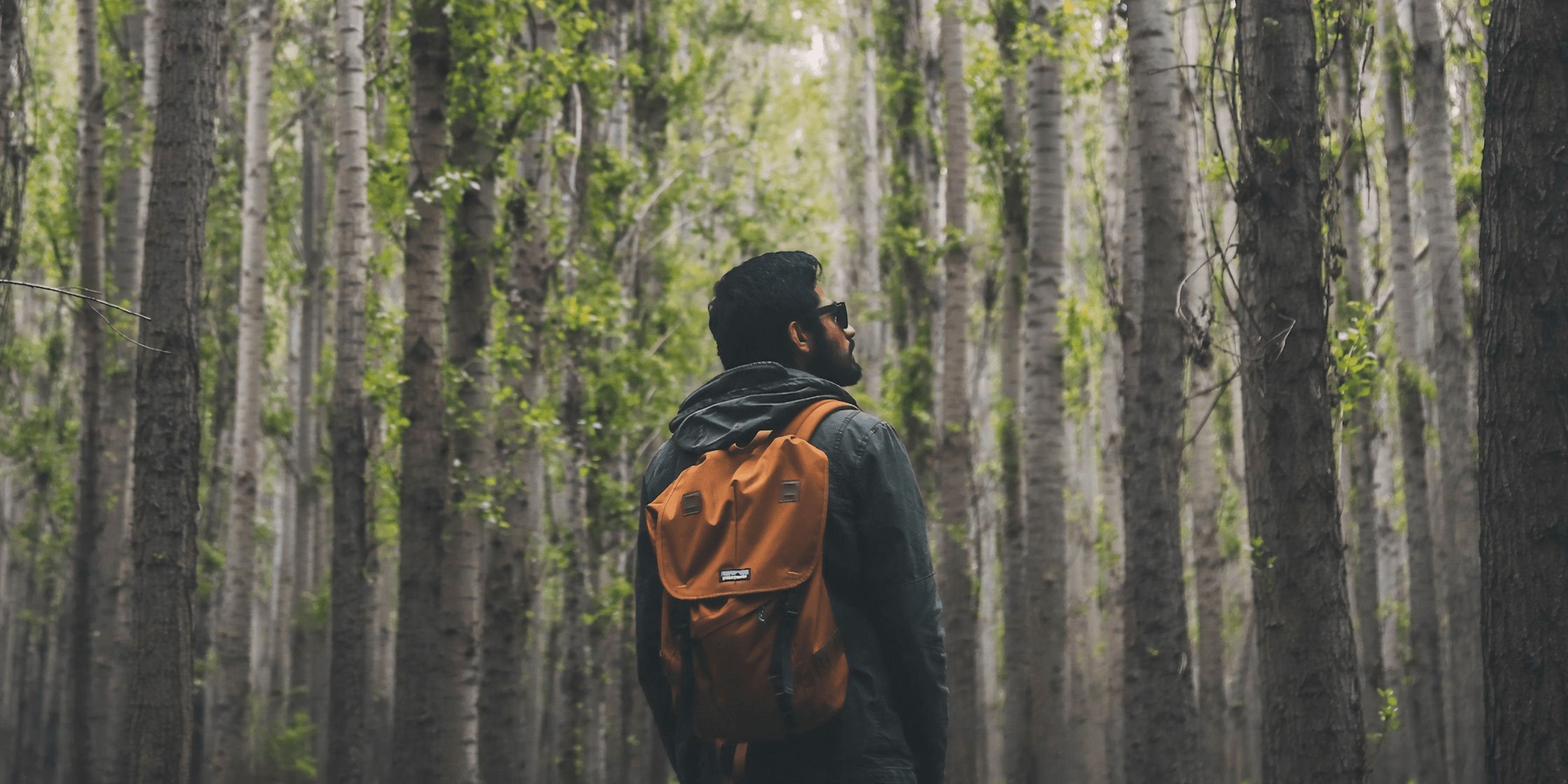 Growing An Email List By 4.1k Subscribers With Just $75