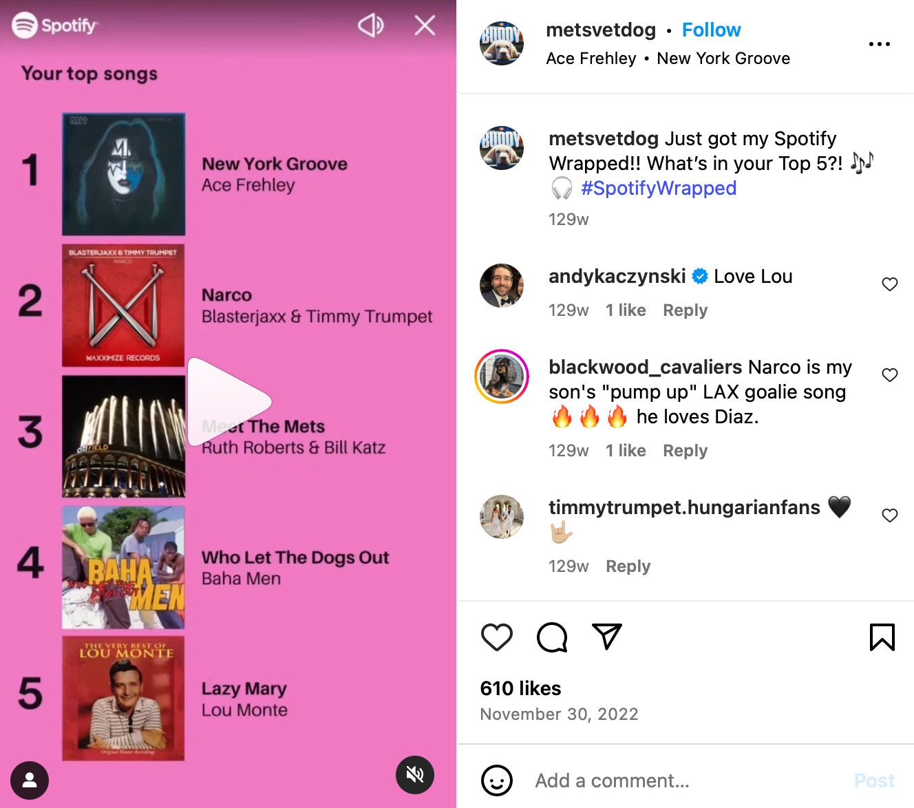 MetsVetDog Instagram post featuring a giveaway in support of service dogs with branded merchandise and cause messaging