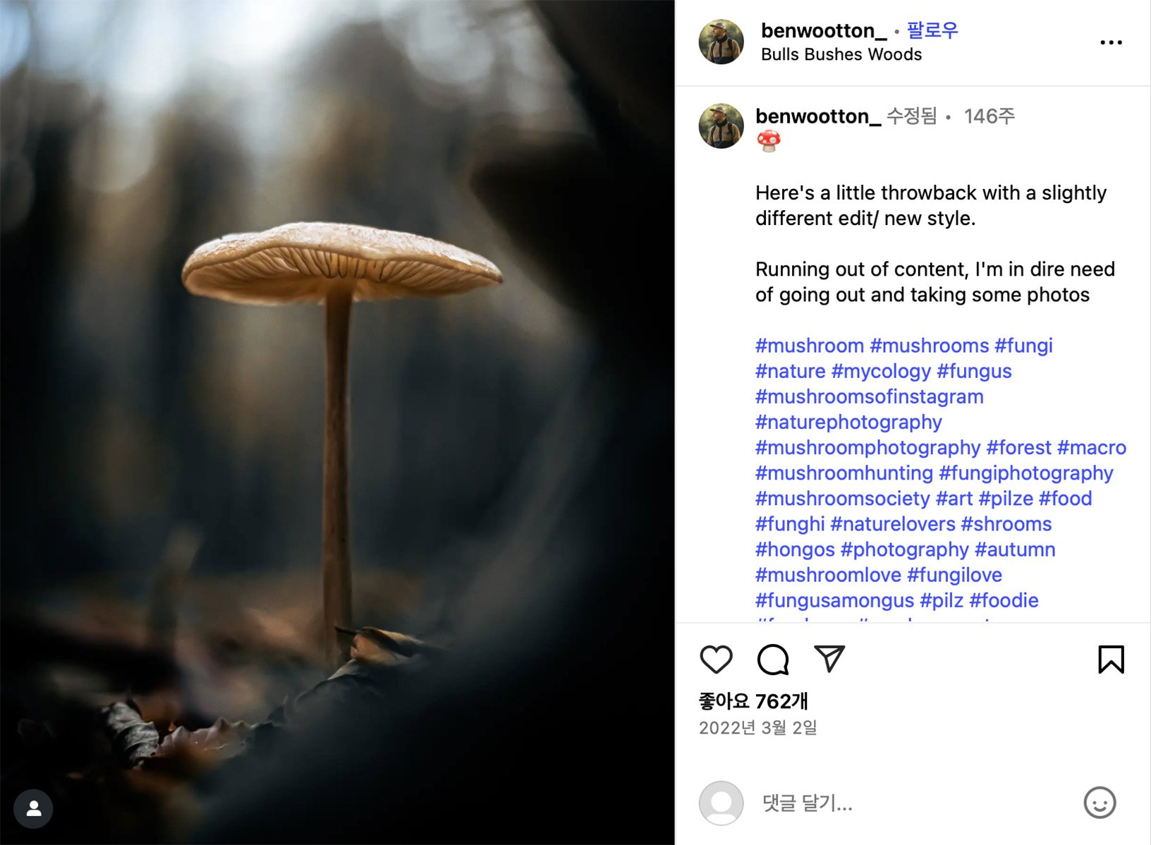 Ben Wootton shares macro mushroom photo from Bulls Bushes Woods Close-up photo of a single mushroom growing in a forest with moody lighting