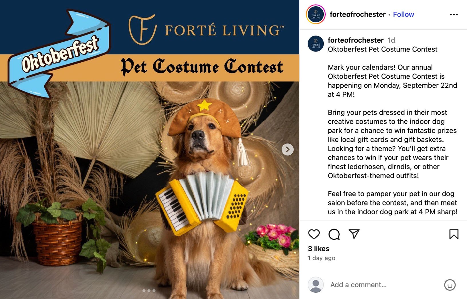 Oktoberfest pet costume contest promotion by Forté Living Golden retriever wearing an Oktoberfest-themed costume with an accordion prop