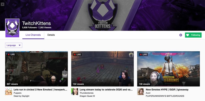 Twitch Kittens' profile on Twitch platform