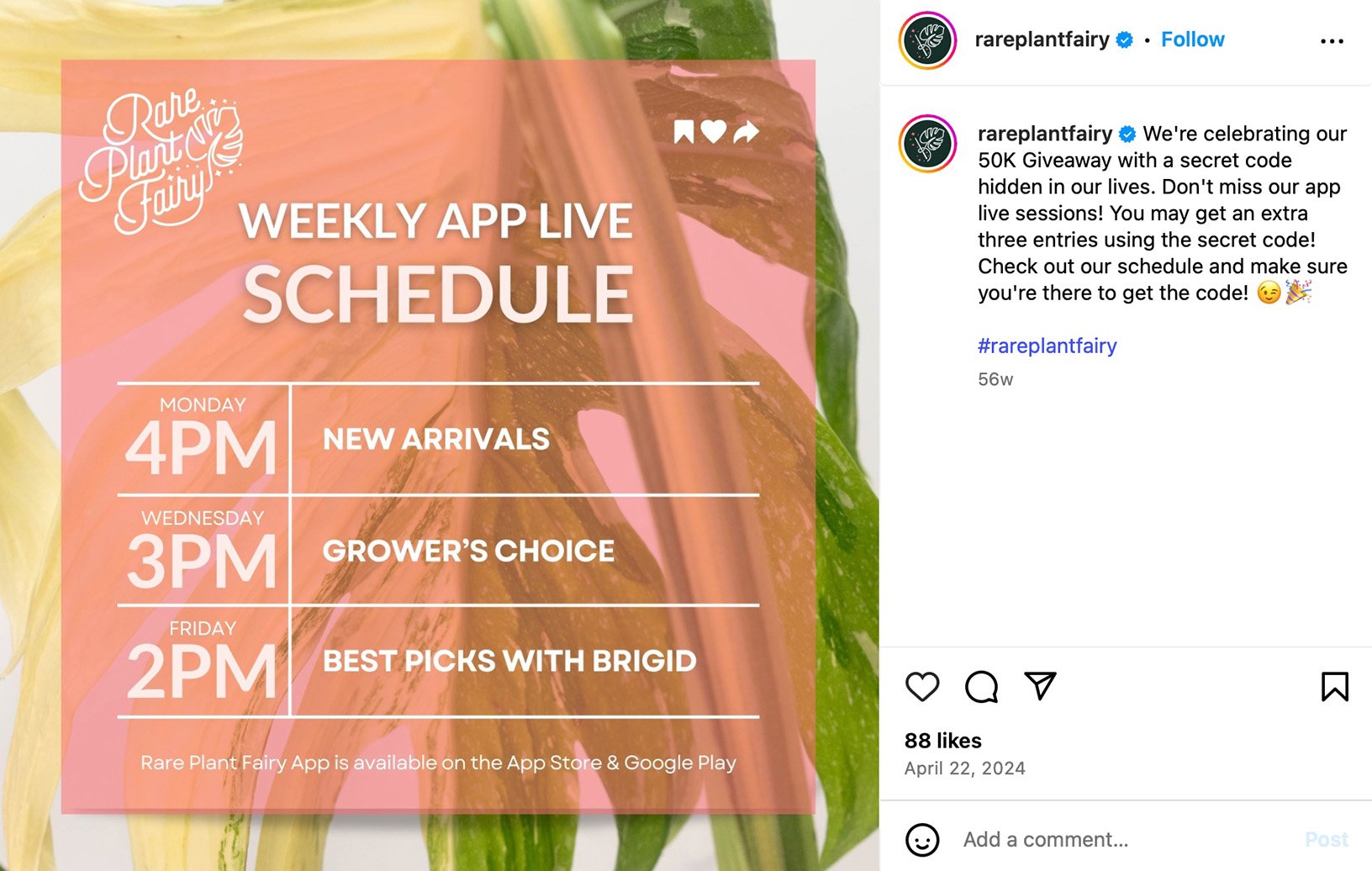 Donny Osmond Twitter post featuring a weekly schedule announcement with event branding and fan engagement visuals